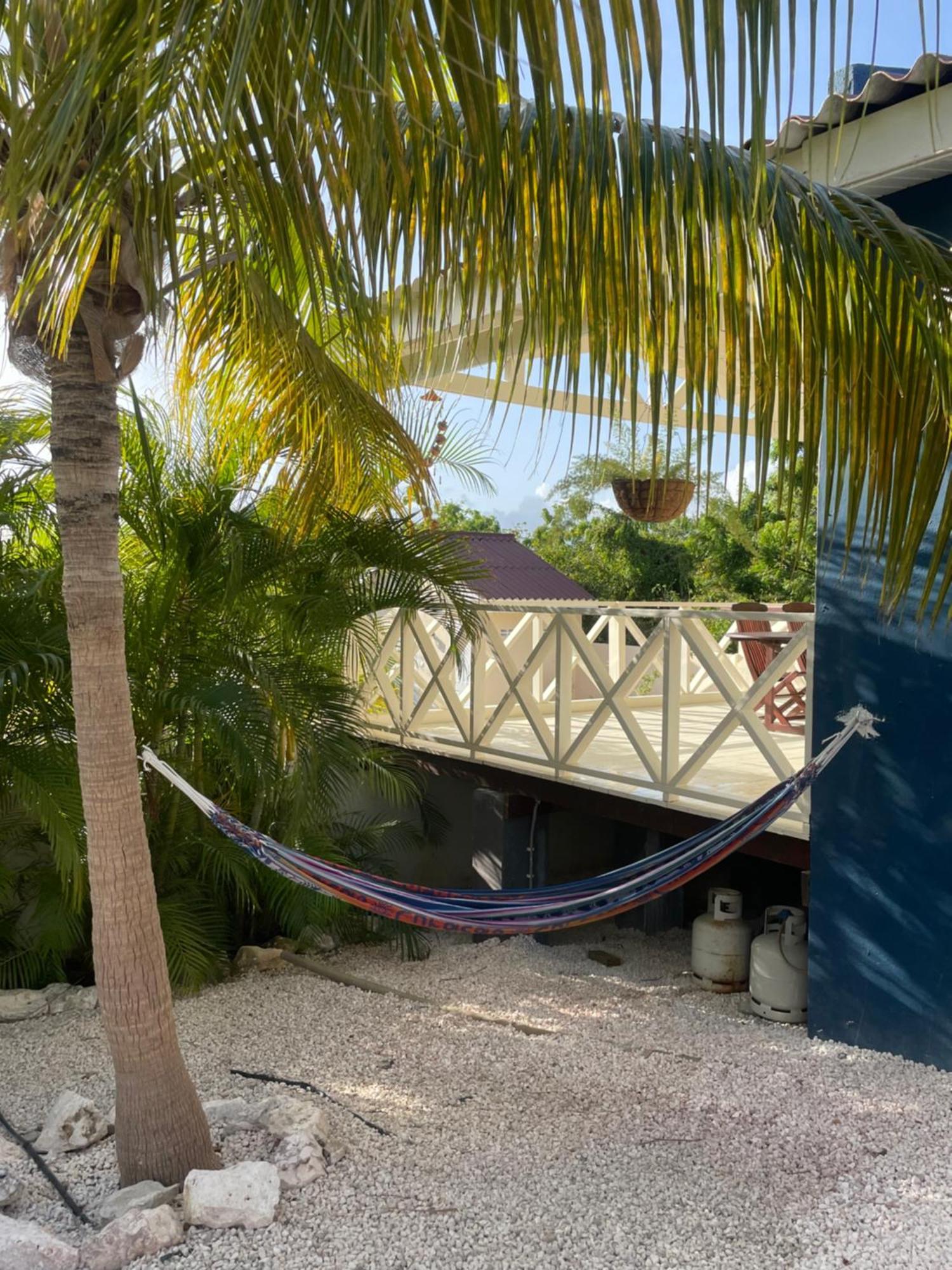 Mini Resort Kaya Verdi Willemstad Kültér fotó