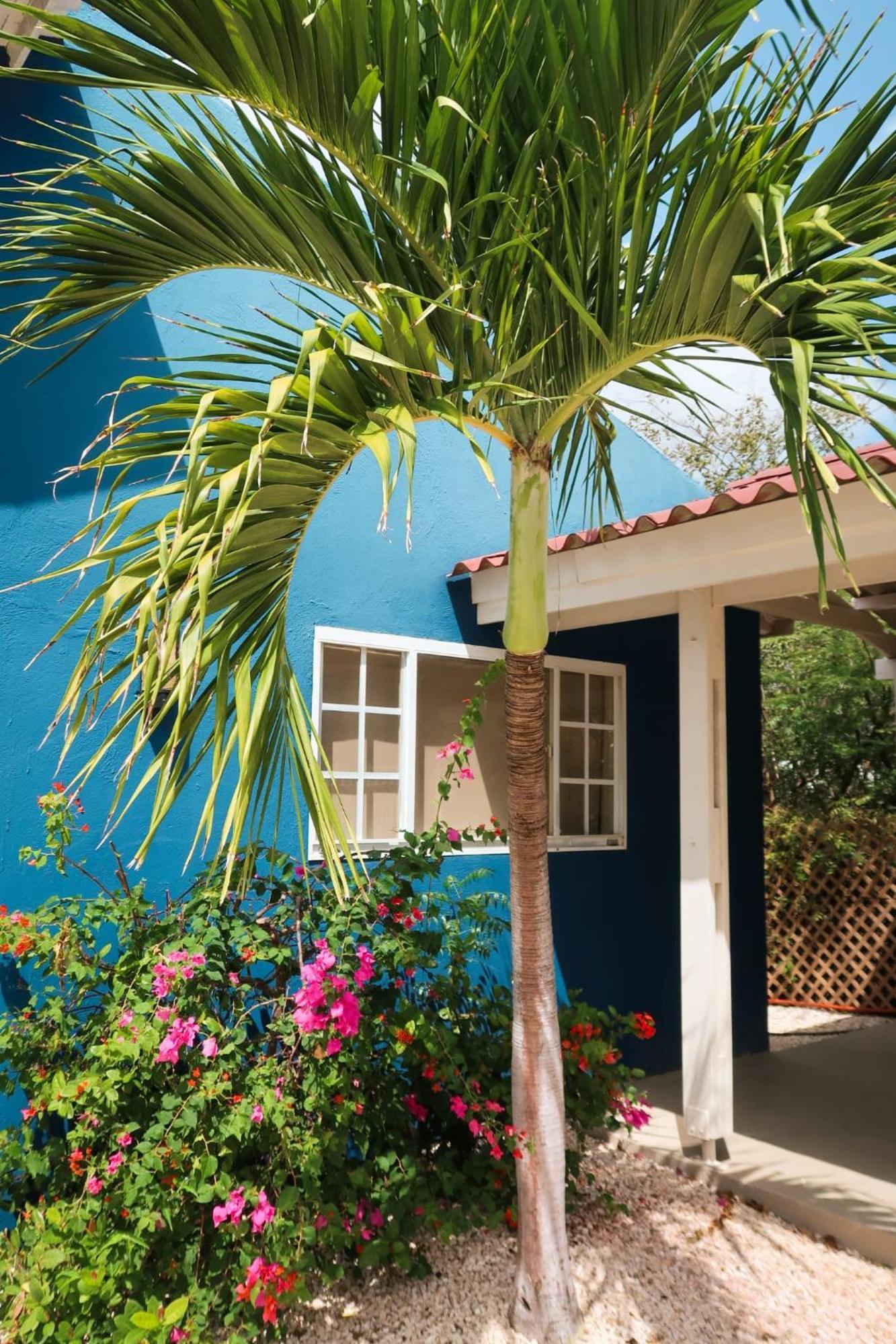 Mini Resort Kaya Verdi Willemstad Kültér fotó